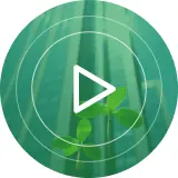 Ecology